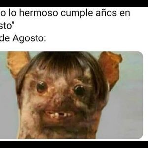 Meet your Posher, Melody